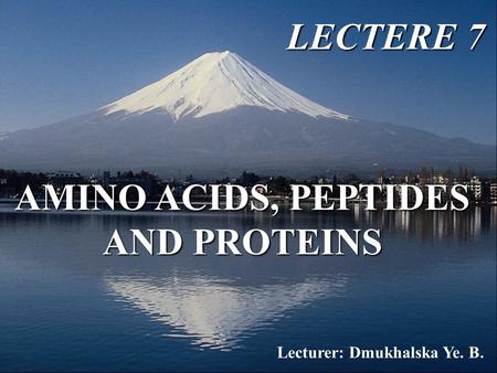 AMINO ACIDS, PEPTIDES AND PROTEINS LECTERE 7 Lecturer: Dmukhalska Ye. B.