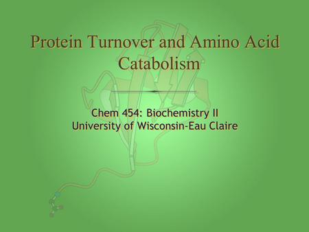 Chem 454: Biochemistry II University of Wisconsin-Eau Claire Chem 454: Biochemistry II University of Wisconsin-Eau Claire Protein Turnover and Amino Acid.