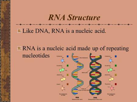 RNA Structure Like DNA, RNA is a nucleic acid. RNA is a nucleic acid made up of repeating nucleotides.