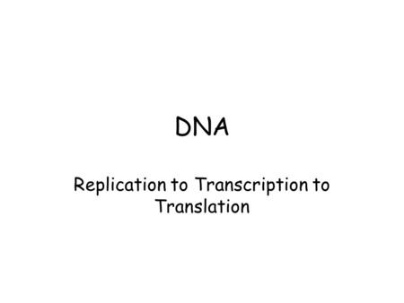 DNA Replication to Transcription to Translation. DNA Replication Replication : DNA in the chromosomes is copied in the nucleus. DNA molecule is unzipped.