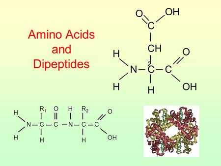 CH2 H N C OH O Amino Acids and Dipeptides H N C O R1 OH R2.