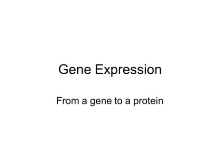 Gene Expression From a gene to a protein. Central Dogma (Crick 1958) Determines the genetic flow of information.