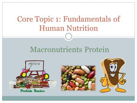 Core Topic 1: Fundamentals of Human Nutrition Macronutrients Protein.