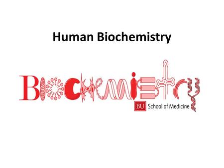 Human Biochemistry Amino Acids and Proteins there are about 20 amino acids that occur naturally they are the basic “building blocks” of life/proteins.