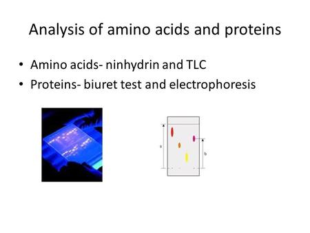 Analysis of amino acids and proteins