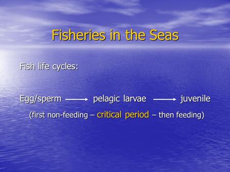 Fisheries in the Seas Fish life cycles: Egg/sperm pelagic larvaejuvenile (first non-feeding – critical period – then feeding) (first non-feeding – critical.