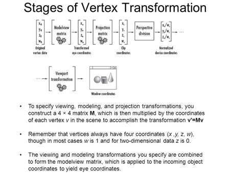 Stages of Vertex Transformation To specify viewing, modeling, and projection transformations, you construct a 4 × 4 matrix M, which is then multiplied.