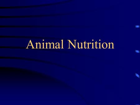 Animal Nutrition. Need for Nourishment body processes require the use of energy obtained from ingested food or stored fat animal must have food to store.