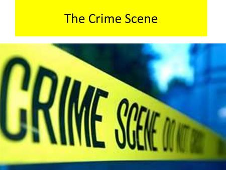 The Crime Scene. Vocabulary Make a vocabulary page in your notebook for each of the following terms: Primary Crime Scene Secondary Crime Scene Physical.