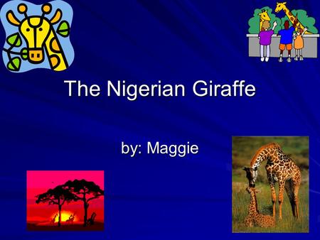 The Nigerian Giraffe by: Maggie Habitat  Southern Africa  Big herds  Biome grassland/ savanna.