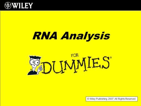© Wiley Publishing. 2007. All Rights Reserved. RNA Analysis.
