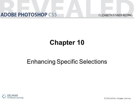 © 2011 Delmar, Cengage Learning Chapter 10 Enhancing Specific Selections.