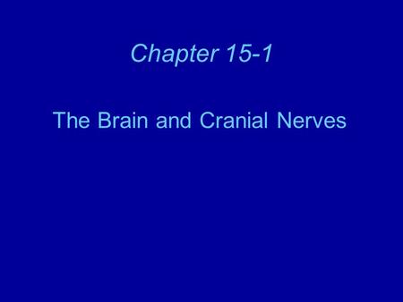 Chapter 15-1 The Brain and Cranial Nerves. The Brain The average male adult brain weighs about 3.5 lbs (1590 gms). Composed of 3 divisions: –Cerebrum.