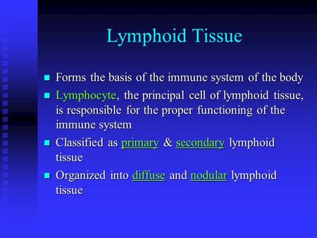 Lymphoid Tissue Forms the basis of the immune system of the body Forms the basis of the immune system of the body Lymphocyte, the principal cell of lymphoid.