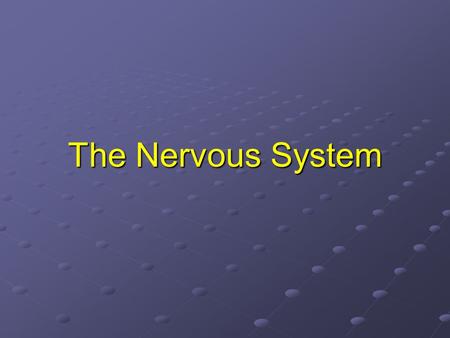 The Nervous System. Directions in the Nervous System Anterior or Rostral Posterior or Caudal Dorsal or Superior Ventral or Inferior Medial Lateral.