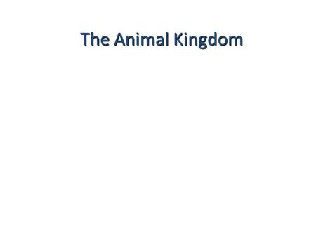 The Animal Kingdom. Define phylogenic tree-explain why scientists use them.