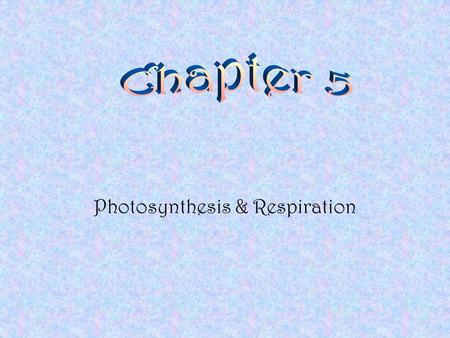 Photosynthesis & Respiration Chapter Sections Section 1 - Energy and Living Things Section 2 - Photosynthesis Section 3 - Cellular Respiration.