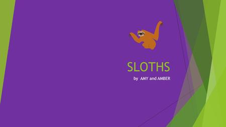 SLOTHS by AMY and AMBER. FACTS  Known for being a sedentary tree-dwelling mammal, the sloth rarely moves at all spending much of its day hanging upside-