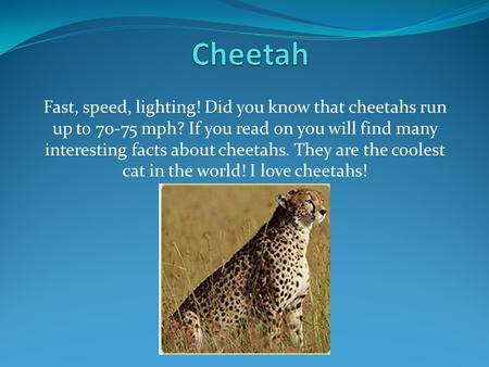 Fast, speed, lighting! Did you know that cheetahs run up to 70-75 mph? If you read on you will find many interesting facts about cheetahs. They are the.