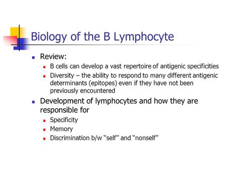Biology of the B Lymphocyte Review: B cells can develop a vast repertoire of antigenic specificities Diversity – the ability to respond to many different.