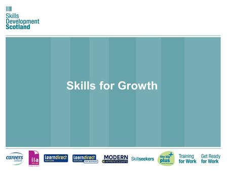 Skills for Growth. Background Skills for Growth is a key SDS project under two Goals - Enable people to fulfil their potential and make skills work for.