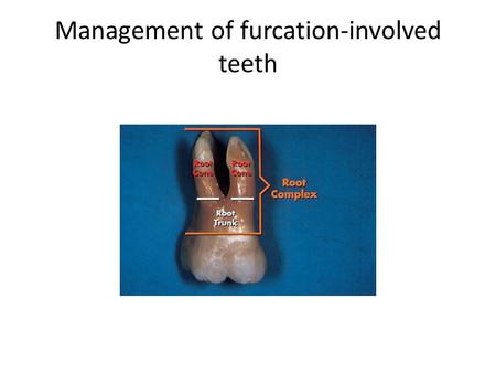 Management of furcation-involved teeth. Intraoperative revision of furcation involvement include – Furcation depth – Width of furcation entrance – Height.