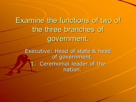 Examine the functions of two of the three branches of government.
