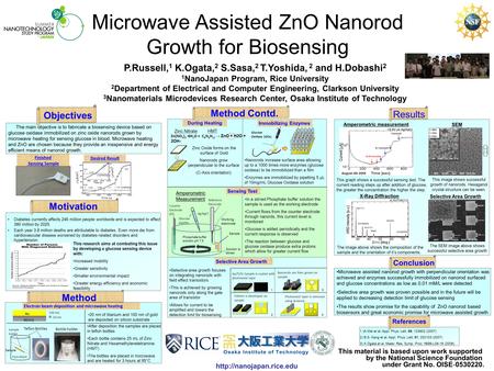 Microwave Assisted ZnO Nanorod Growth for Biosensing This material is based upon work supported by the National Science Foundation.