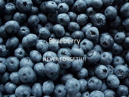 Blueberry NEVER FORGET!!!! Origin First discovered in Canada.Canada Now being produced all over the world. The top blueberry producer in the world is.