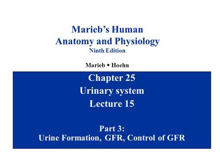 Anatomy and Physiology Part 3: Urine Formation, GFR, Control of GFR