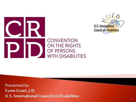 Presented by Esme Grant, J.D. U.S. International Council on Disabilities 1.