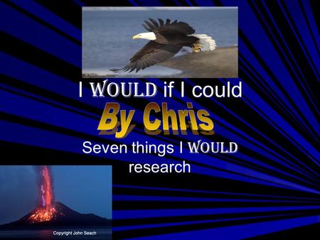 I would if I could Seven things I would research.