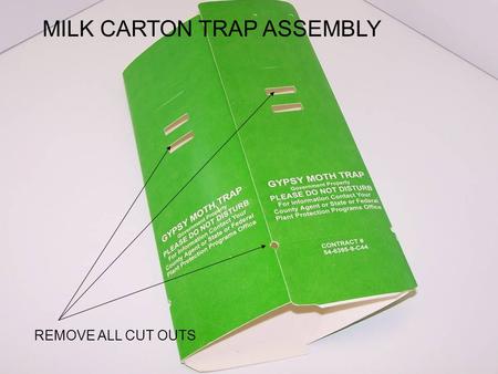 REMOVE ALL CUT OUTS MILK CARTON TRAP ASSEMBLY. STAPLE BOTTOM OF TRAP.