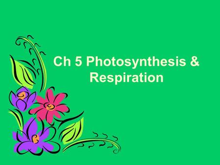 Ch 5 Photosynthesis & Respiration. What is Photosynthesis? The process of photosynthesis is a chemical reaction. It is the most important chemical reaction.