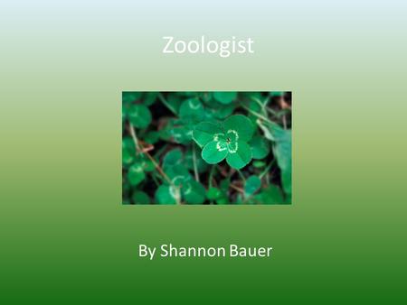 Zoologist By Shannon Bauer.
