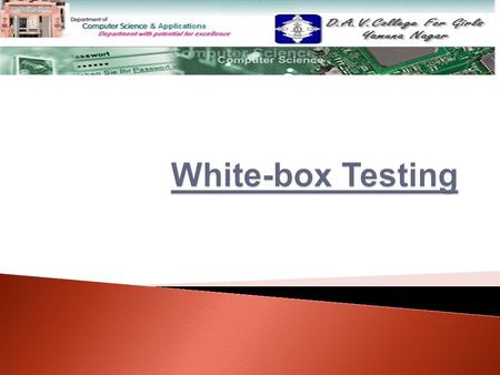White-box Testing.