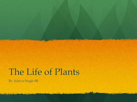 The Life of Plants By Aditya Singh 8B. Background Information We all know that for a plant to grow it needs: sunlight, water, carbon dioxide and nutrients.