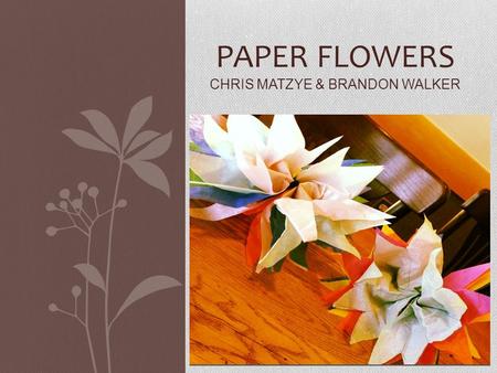 PAPER FLOWERS CHRIS MATZYE & BRANDON WALKER. Supplies Needed / Precautions Supplies: Tissue paper Scissors Fuzzy sticks pipe cleaners Precautions: Be.