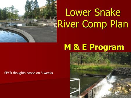 Lower Snake River Comp Plan M & E Program SPY’s thoughts based on 3 weeks.