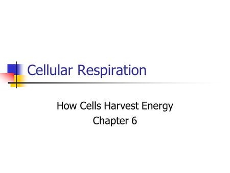 How Cells Harvest Energy Chapter 6