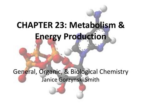 CHAPTER 23: Metabolism & Energy Production