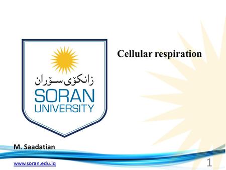 Www.soran.edu.iq M. Saadatian Cellular respiration 1.