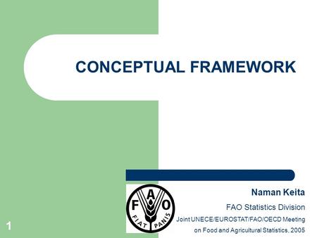 1 CONCEPTUAL FRAMEWORK Naman Keita FAO Statistics Division Joint UNECE/EUROSTAT/FAO/OECD Meeting on Food and Agricultural Statistics, 2005.