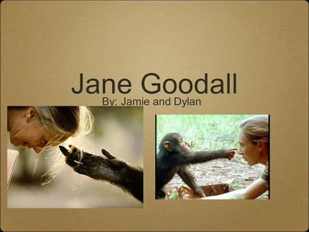 Jane Goodall By: Jamie and Dylan. Who is Jane Goodall Jane Goodall is a female anthropologists who conducted a 35 year study about social interactions.