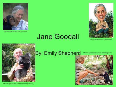 Jane Goodall By: Emily Shepherd