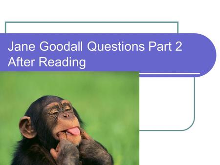 Jane Goodall Questions Part 2 After Reading