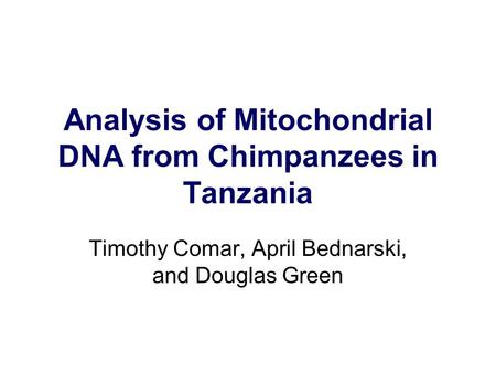 Analysis of Mitochondrial DNA from Chimpanzees in Tanzania Timothy Comar, April Bednarski, and Douglas Green.