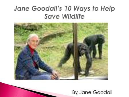 By Jane Goodall. Rate and review the vocabulary words independently cautioushabitsmarvelous apologizedavoidobserve For this lesson you will read Jane.