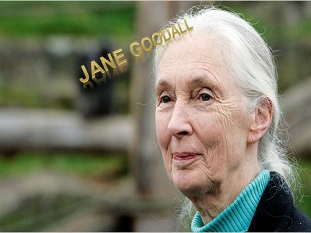 Jane Goodall was born in 1934. Jane and her mother moved to the country of Tanzania in Africa. They lived with chimpanzees, in the Gombe forest. At first,