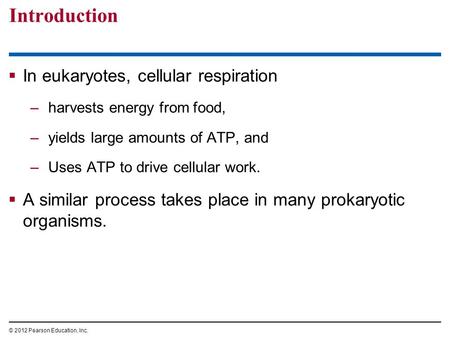 Introduction  In eukaryotes, cellular respiration –harvests energy from food, –yields large amounts of ATP, and –Uses ATP to drive cellular work.  A.